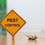 Why West Londoners first choice for pest control is a Fantastic Services – 7 reason!