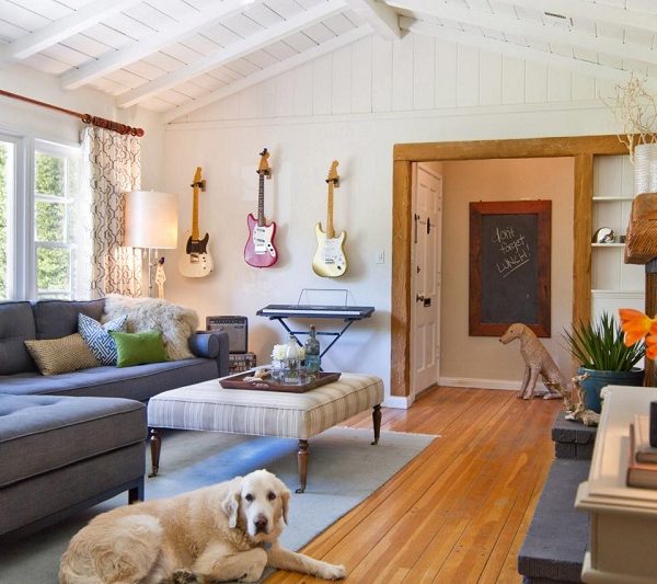 Creating a Pet-Friendly Home: Design Tips for Pet Owners