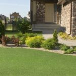 The Low-Maintenance Garden: Why Artificial Grass is the New Green Trend