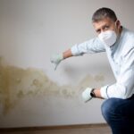 How to Choose a Reliable Mould Specialist in Singapore