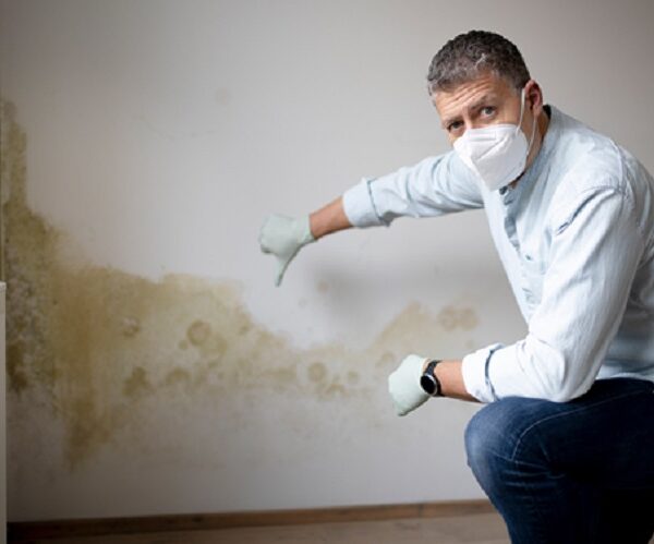 How to Choose a Reliable Mould Specialist in Singapore