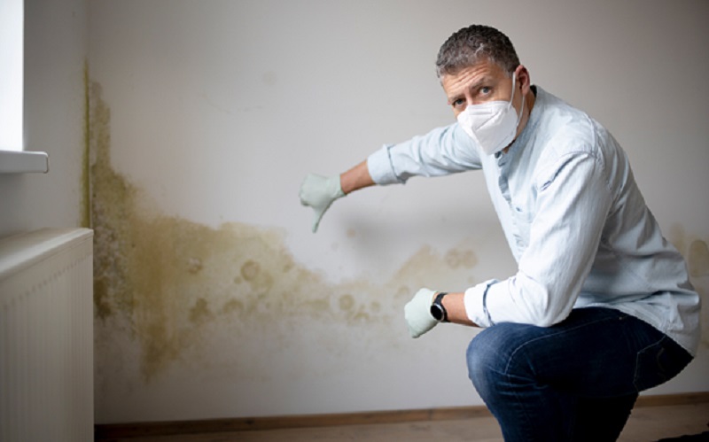 How to Choose a Reliable Mould Specialist in Singapore