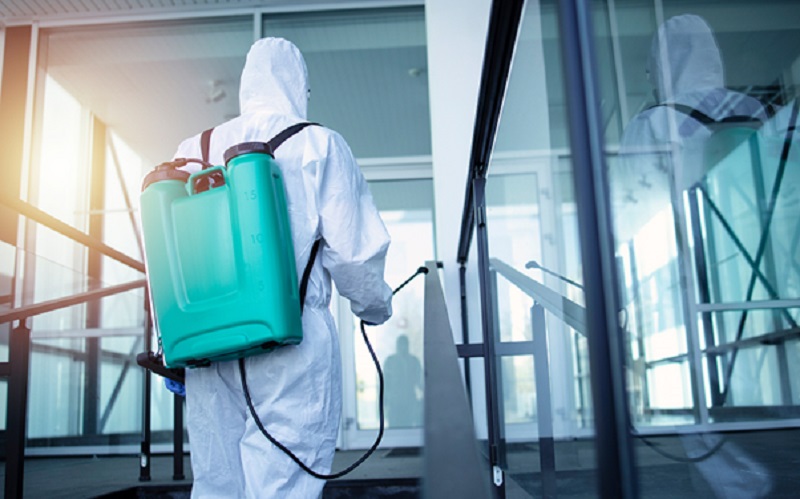 5 Signs You Need Pest Control Services in Singapore Immediately