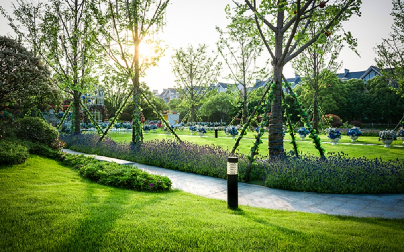 10 Step-by-Step Plan to Keep Your Outdoor Space Neat Year-Round